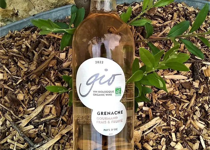 L'ermitage ゲストハウス 3*