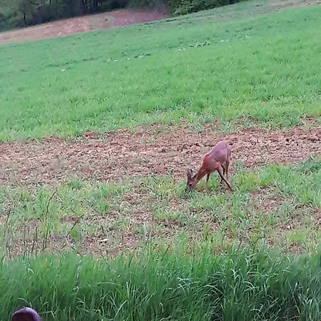 L'ermitage Gasthuis 3*