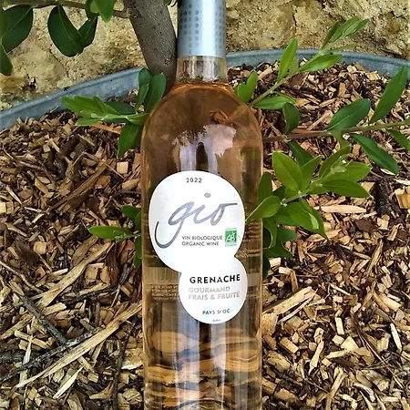 L'ermitage Gasthuis 3*