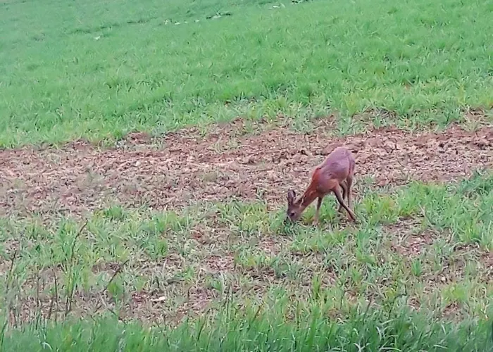 L'ermitage Πανσιόν 3*